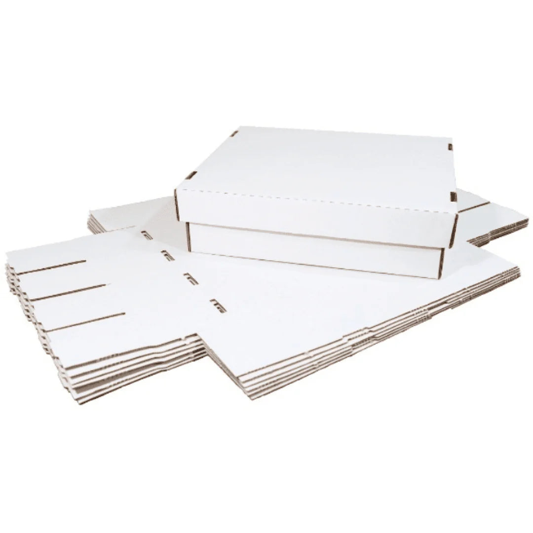 6 Pack Trading Card Storage Box R976298