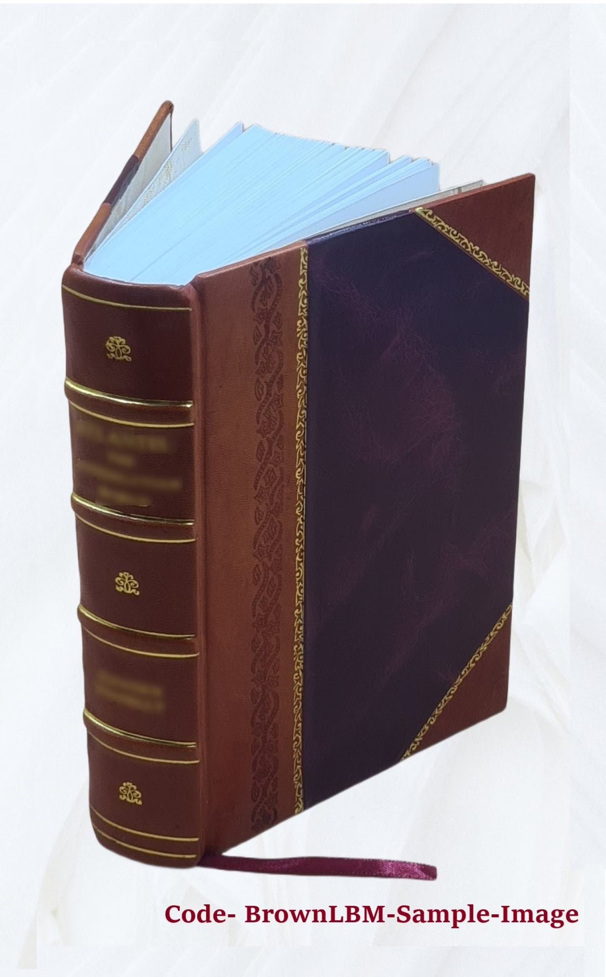 Leather Bound Dictionary D802