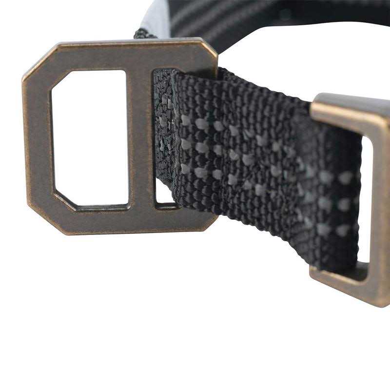 Dog Collar S61926