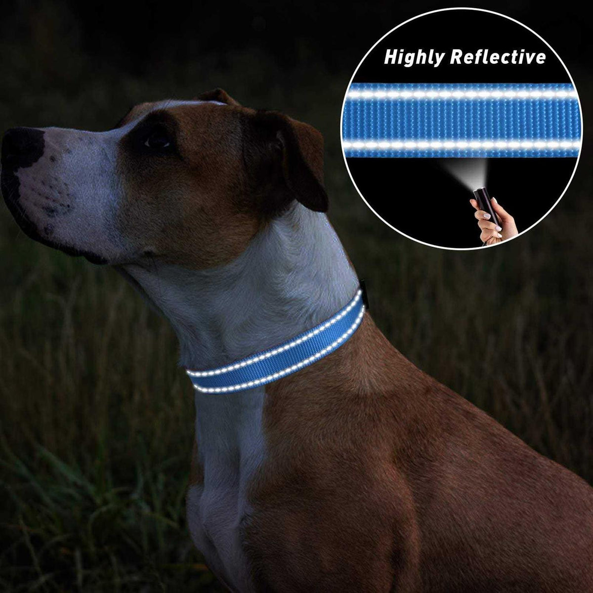 Reflective Nylon Adjustable Dog Collar with Quick Release Buckle H998409
