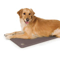 Pet Products Deluxe Lectro-Kennel N10945