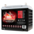 Group 25 AGM Battery H8029