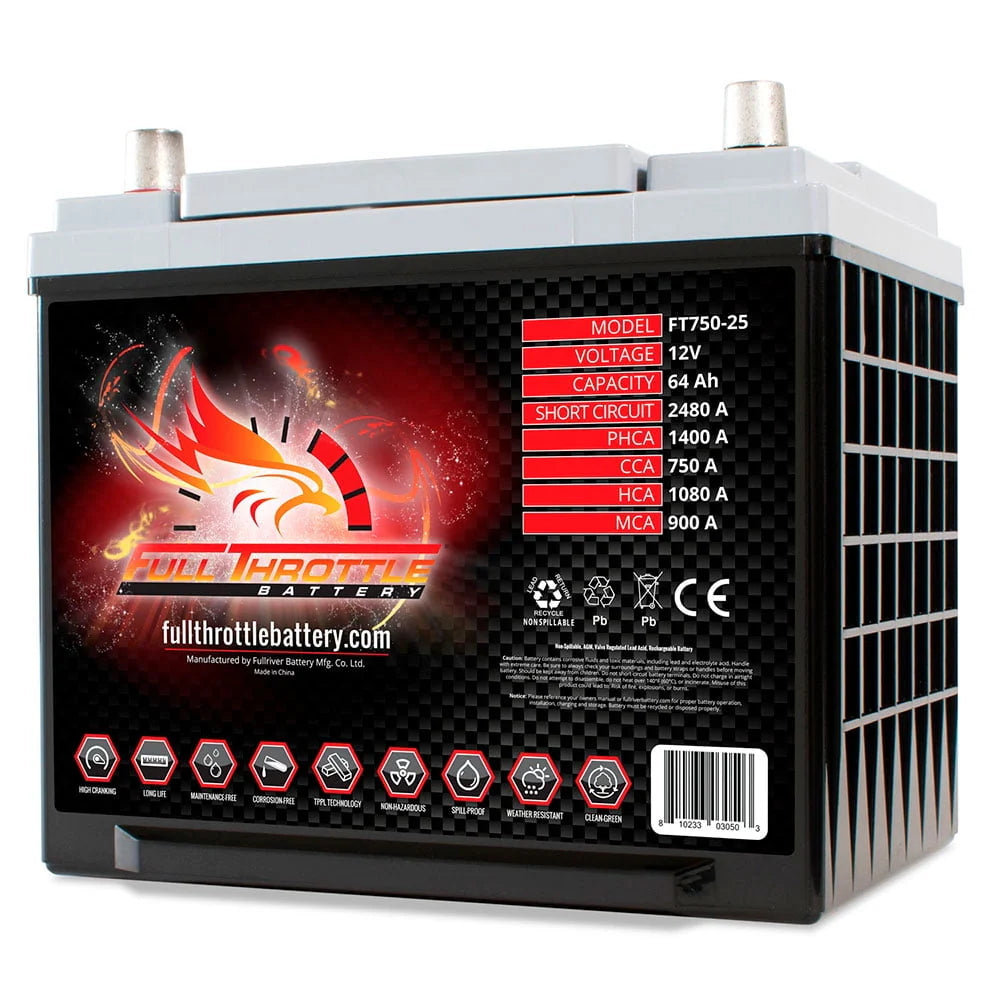 Group 25 AGM Battery H8029