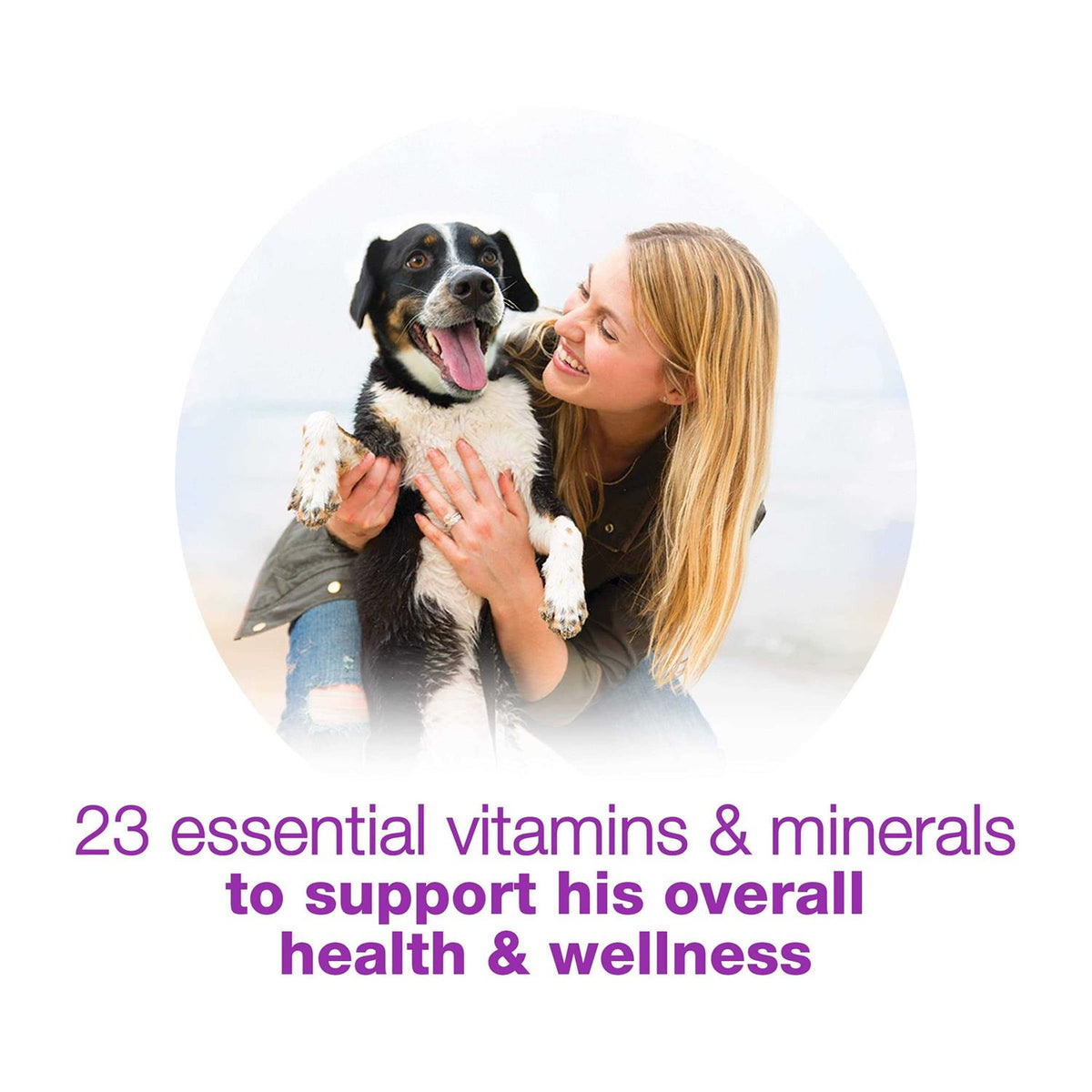 Wet Dog Food M55828
