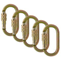 Steel Screw-Lock Oval-Shaped Carabiner W1331