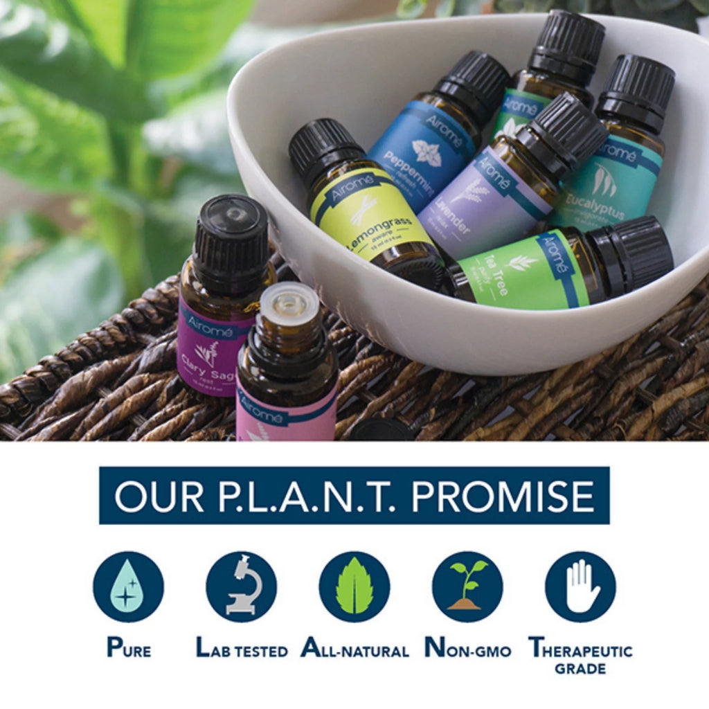 Organic Lavender Essential Oil 2 Pack O39908