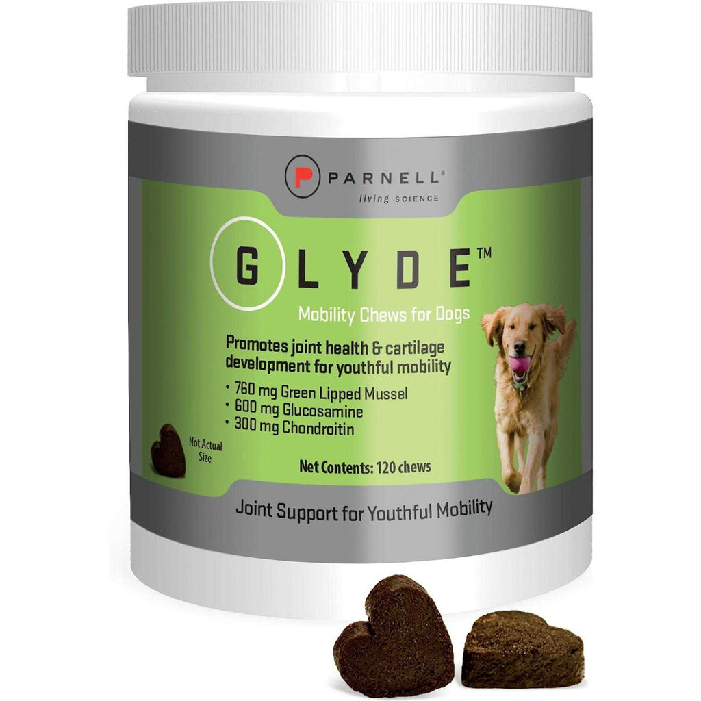 Mobility Chews for Dogs H466833