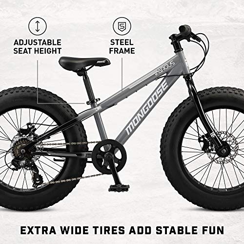 Fat Tire Mountain Bike H138193