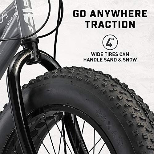 Fat Tire Mountain Bike H138193