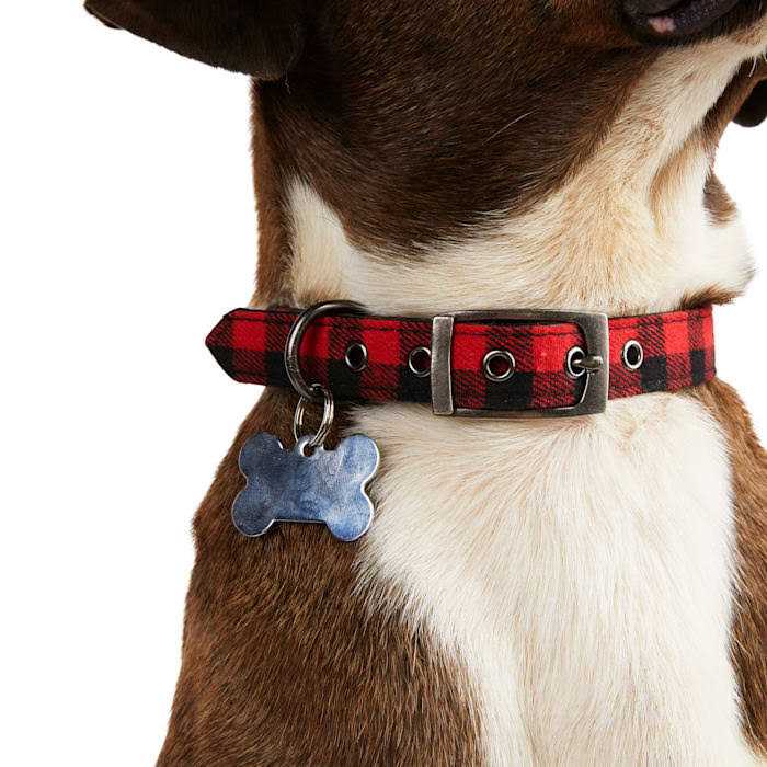 Buffalo Checkered Dog Collar Q3918