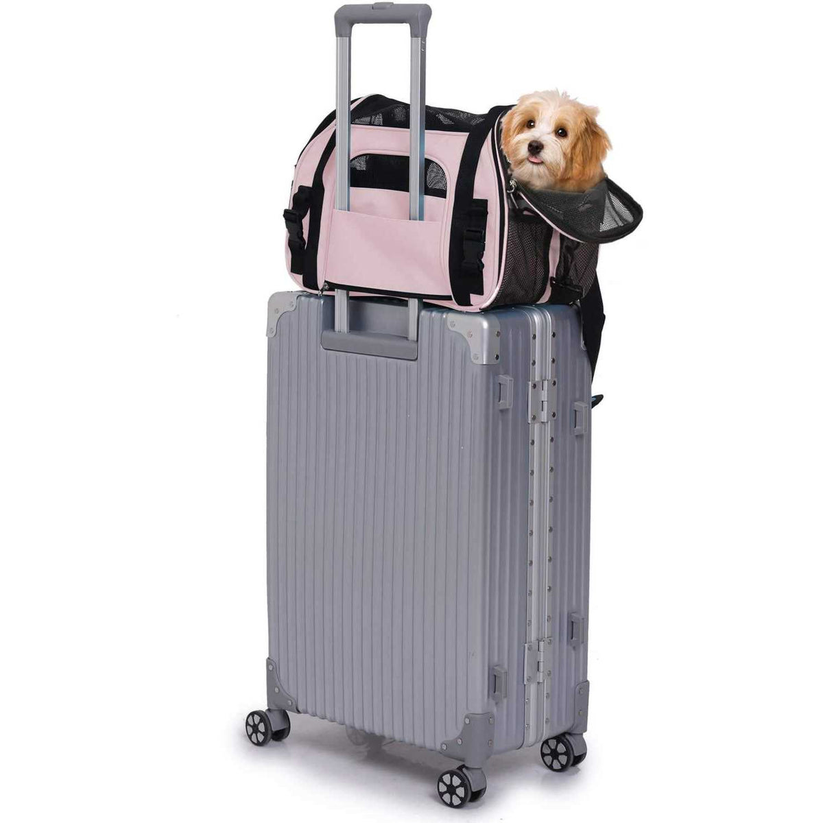 Soft Pet Carrier K6605
