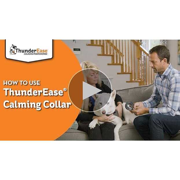 Calming Dog Collar B17774