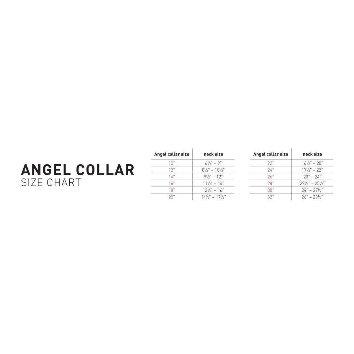 Dog Collar X946