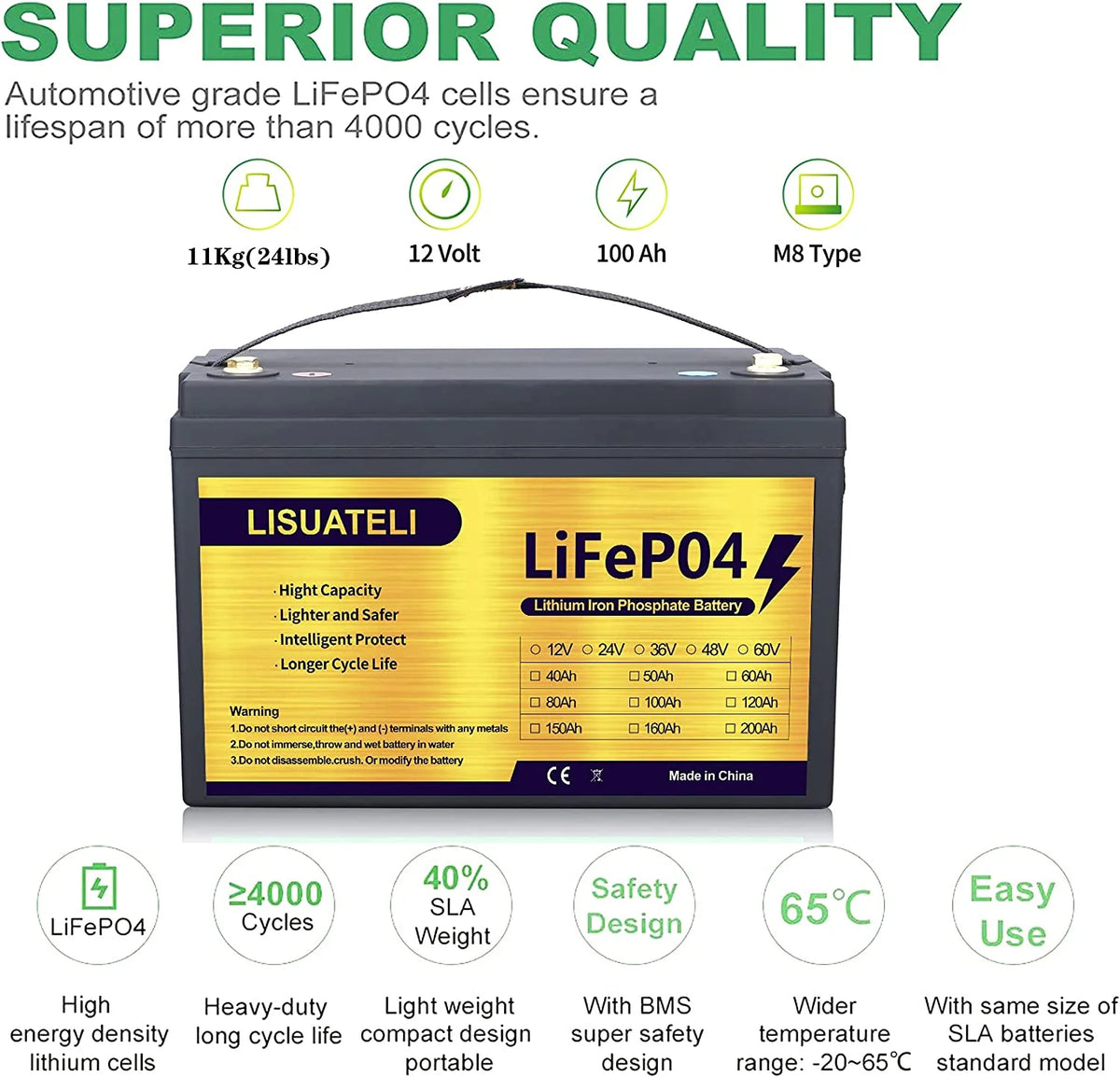 12V 100Ah Lifepo4 Lithium Battery with 100A BMS E3205