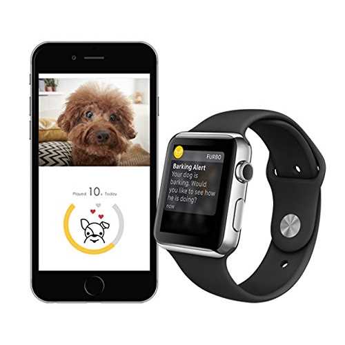Dog Camera V22369