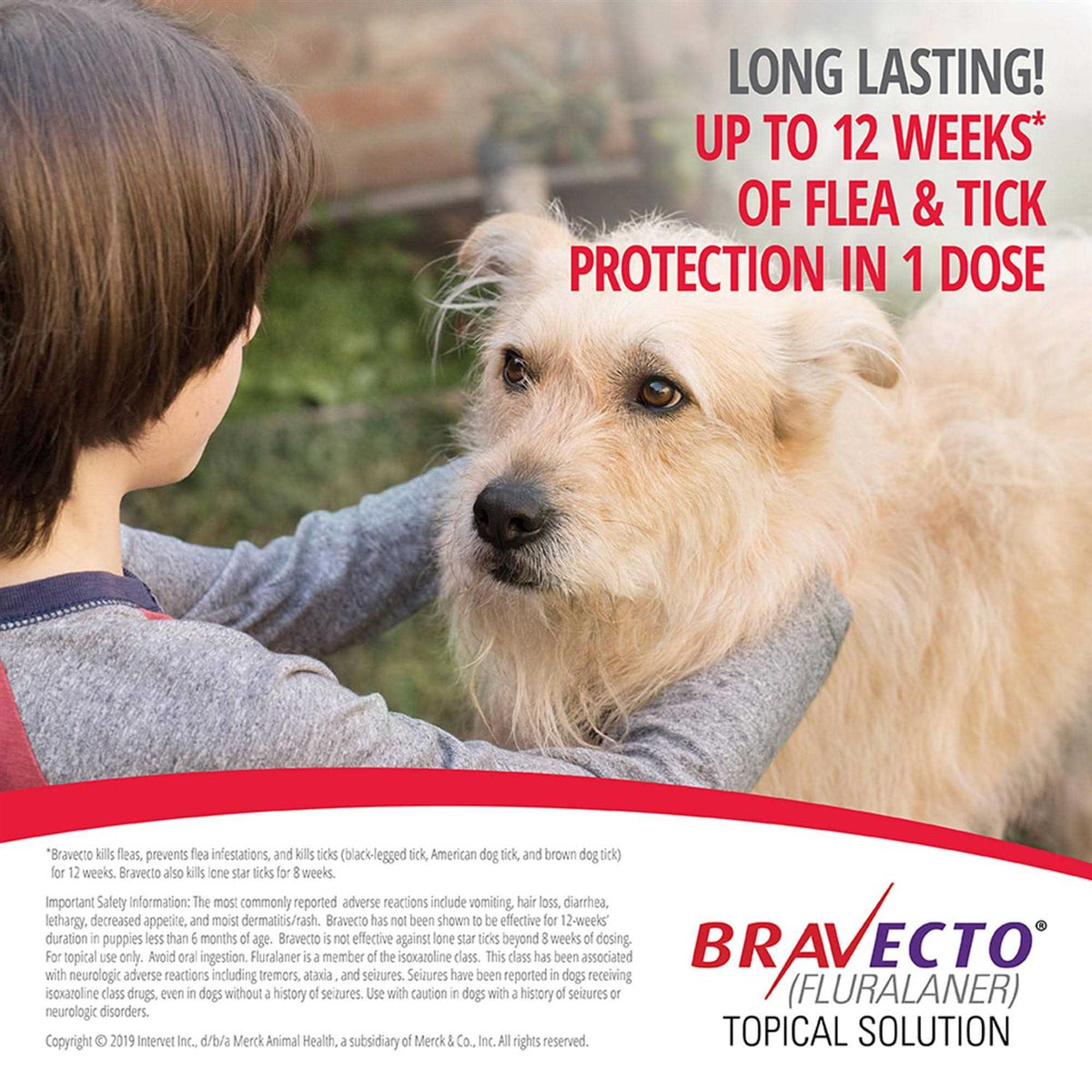 Topical Solution for Dogs T75291