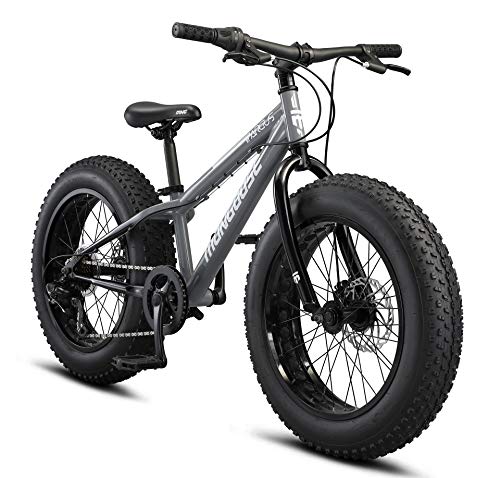 Fat Tire Mountain Bike H138193