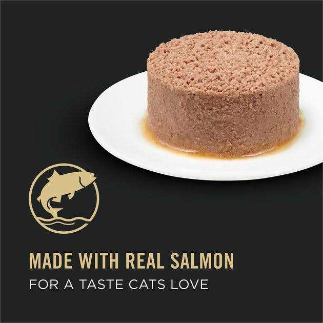 Hairball Control Wet Cat Food Pate B489