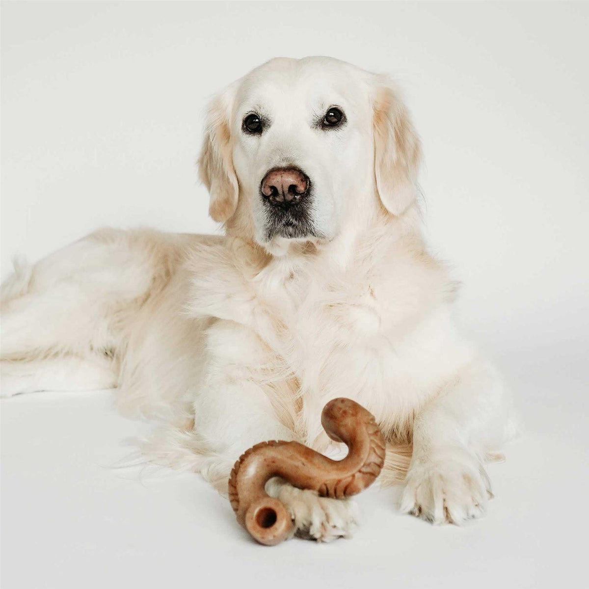 Dog Chew Q935