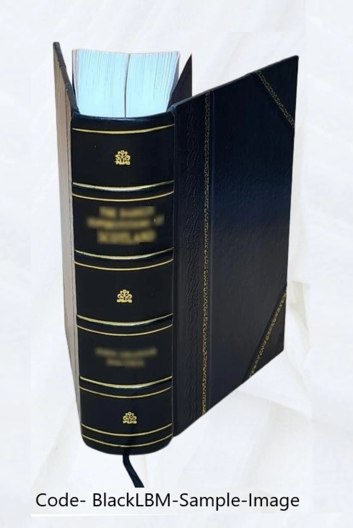 JOHN MILTON IN RELATION TO THE ENGLISH RELIGIOUS LITERATURE OF THE SEVENTEENTH CENTURY. 1923 [Leather Bound] E492892