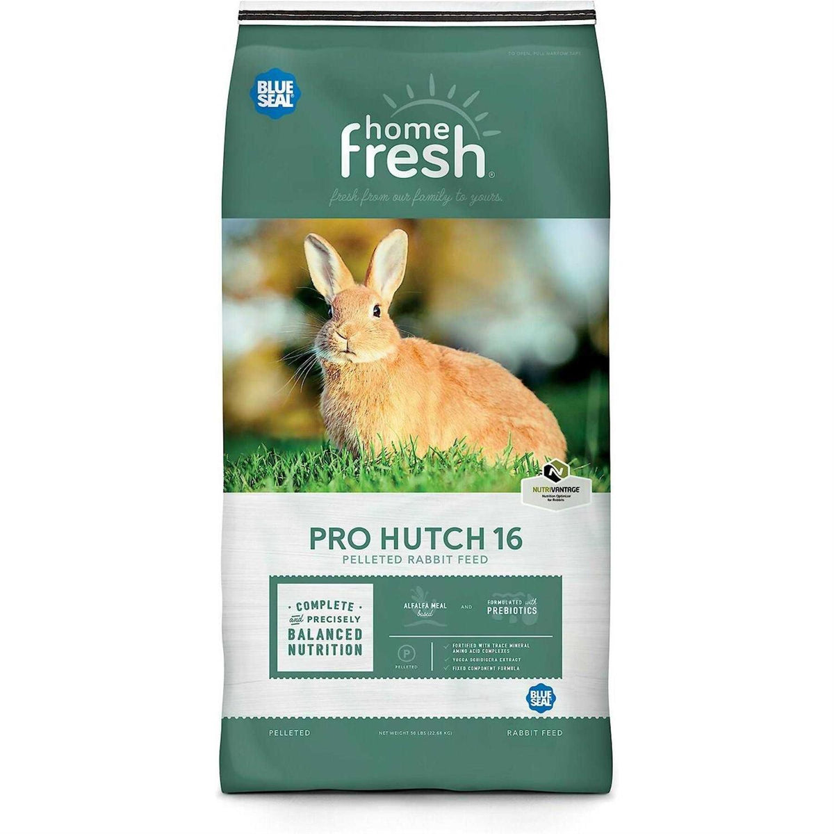 Rabbit Hutch X81046