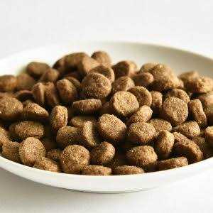 Salmon Recipe Dry Dog Food R34989