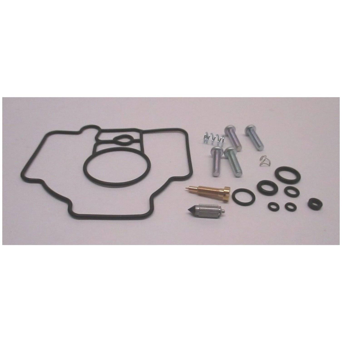 Carburetor Repair Kit S55711