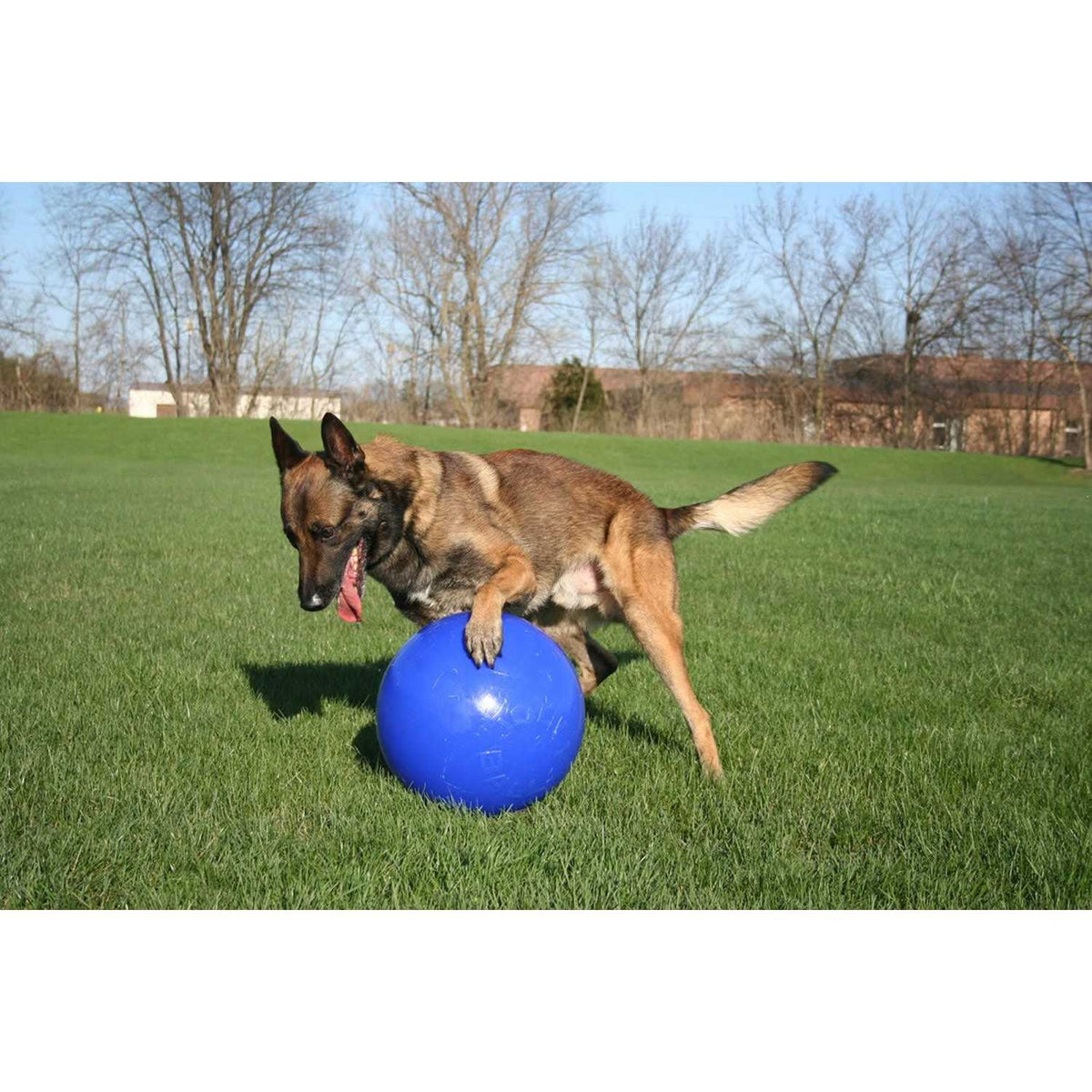 Push n Play Ball J328