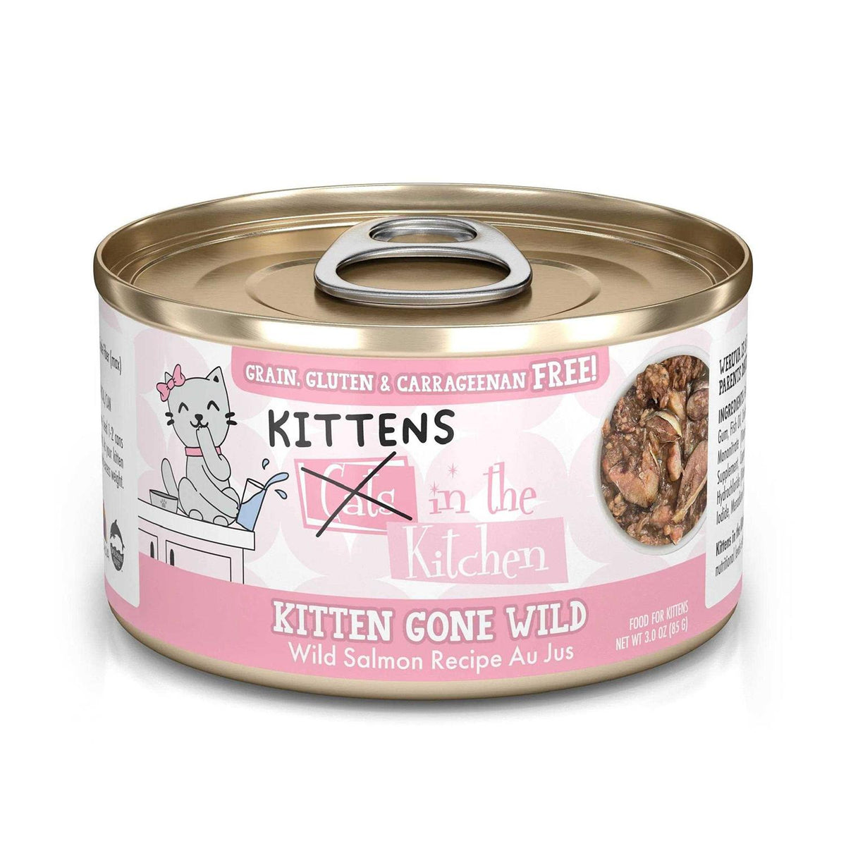 Wet Cat Food V446563