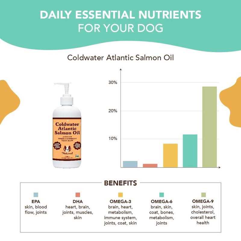 Salmon Oil for Dogs Omega 3 Supplement N9599