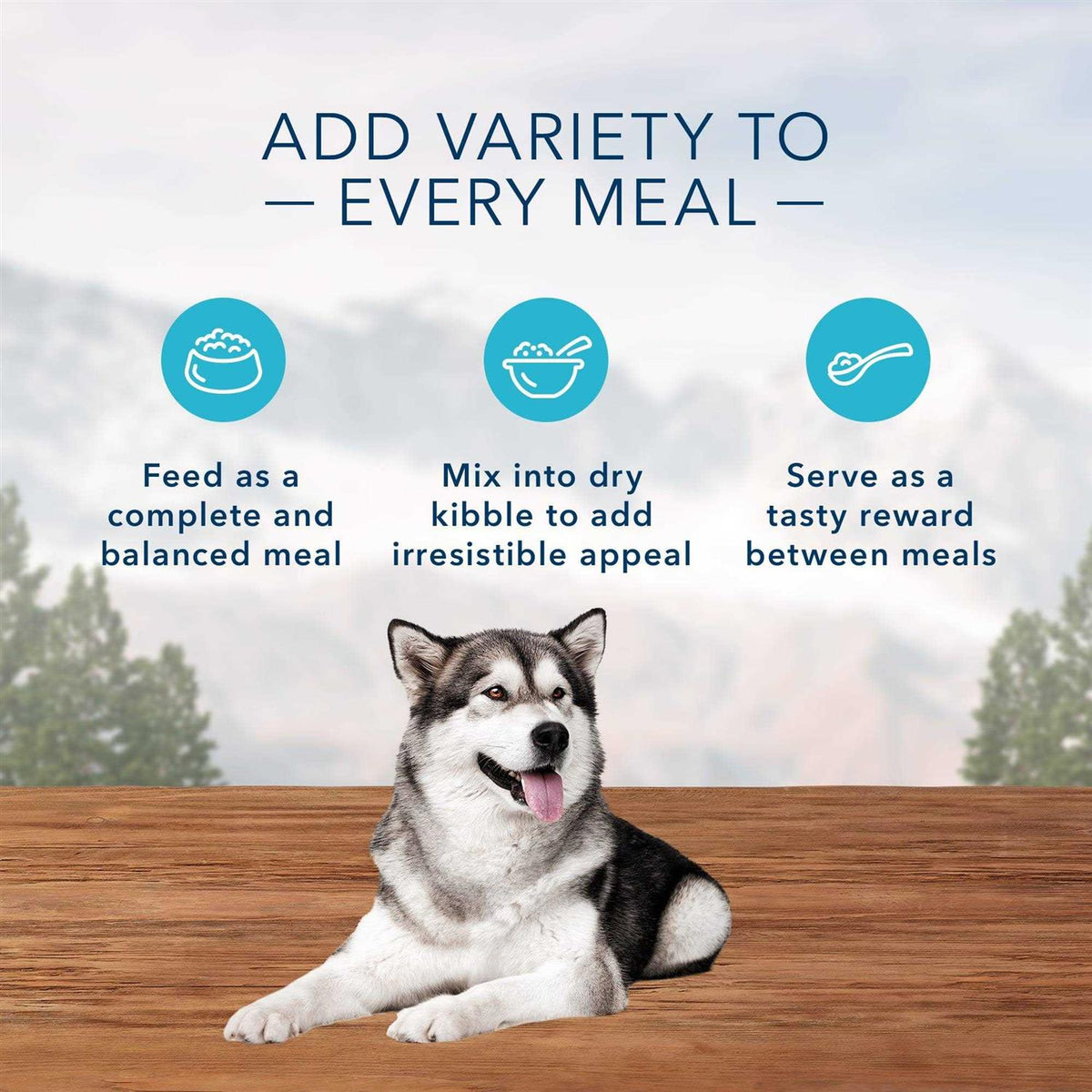High Protein Beef & Salmon Grain-Free Wet Dog Food Variety Pack K25326