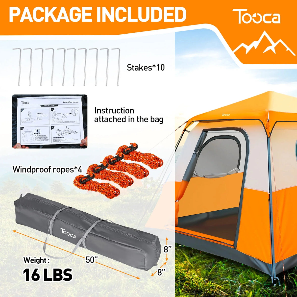 6-Person Camping Tent Y406001