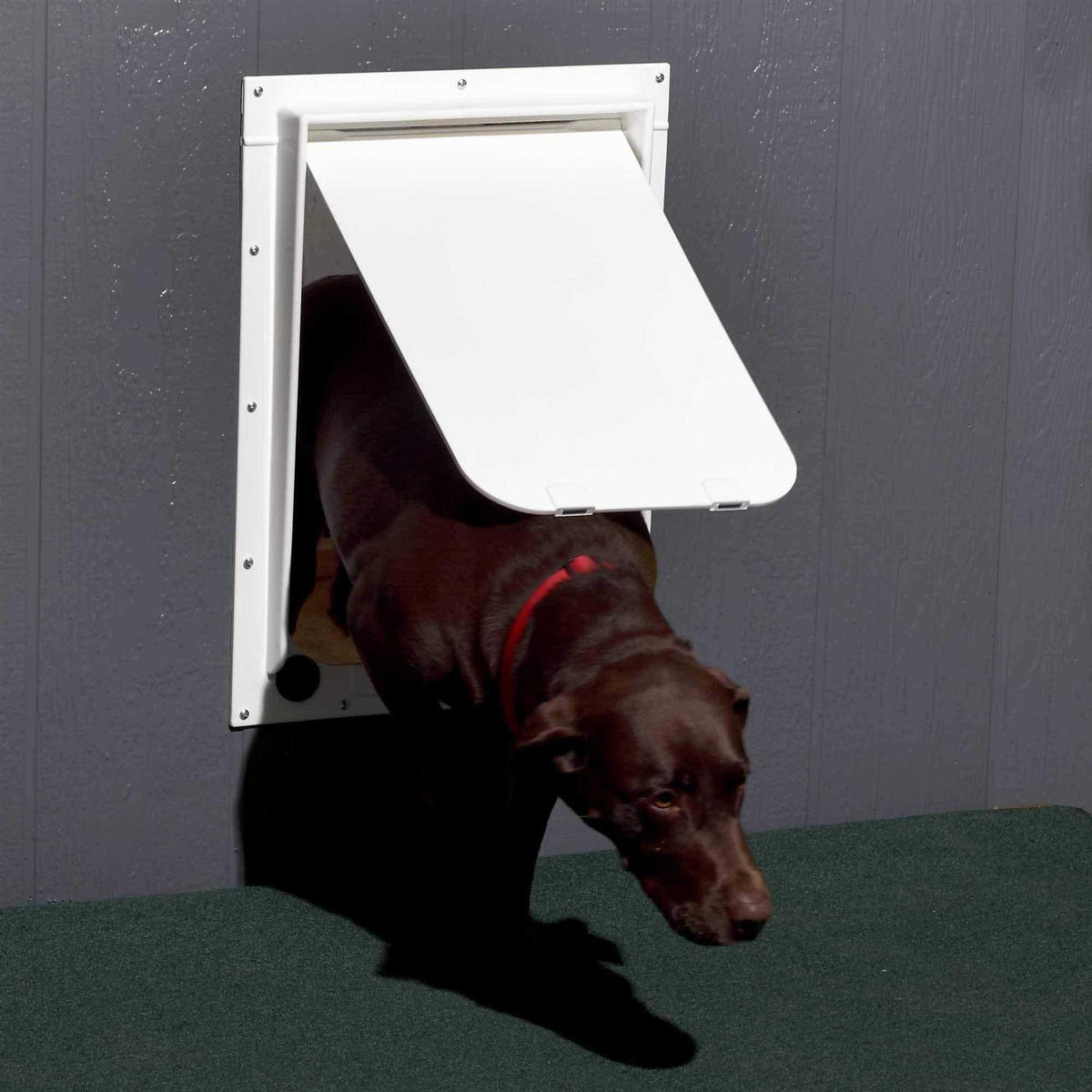 Pet Door G2409