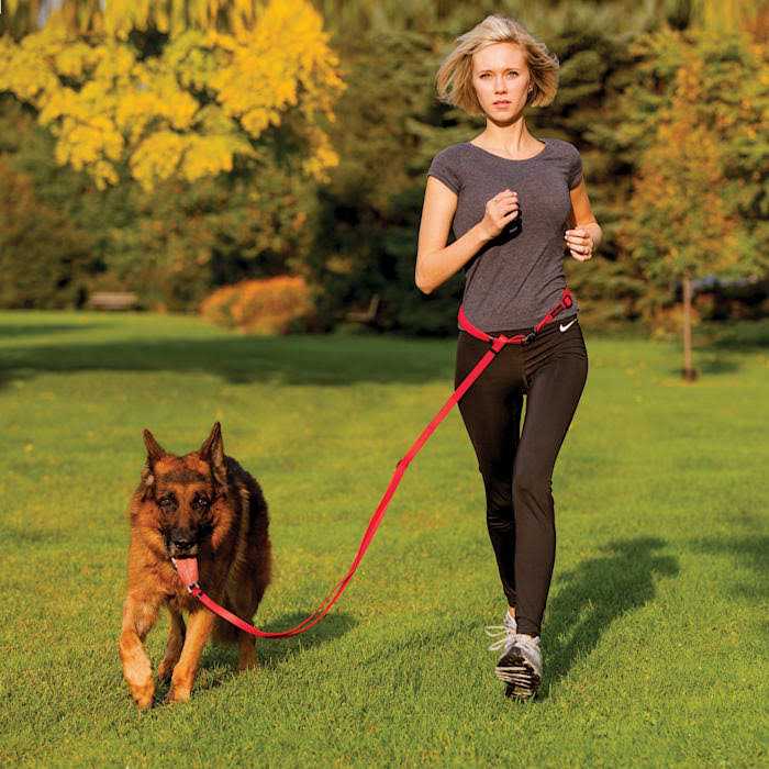 Pet Harness G548