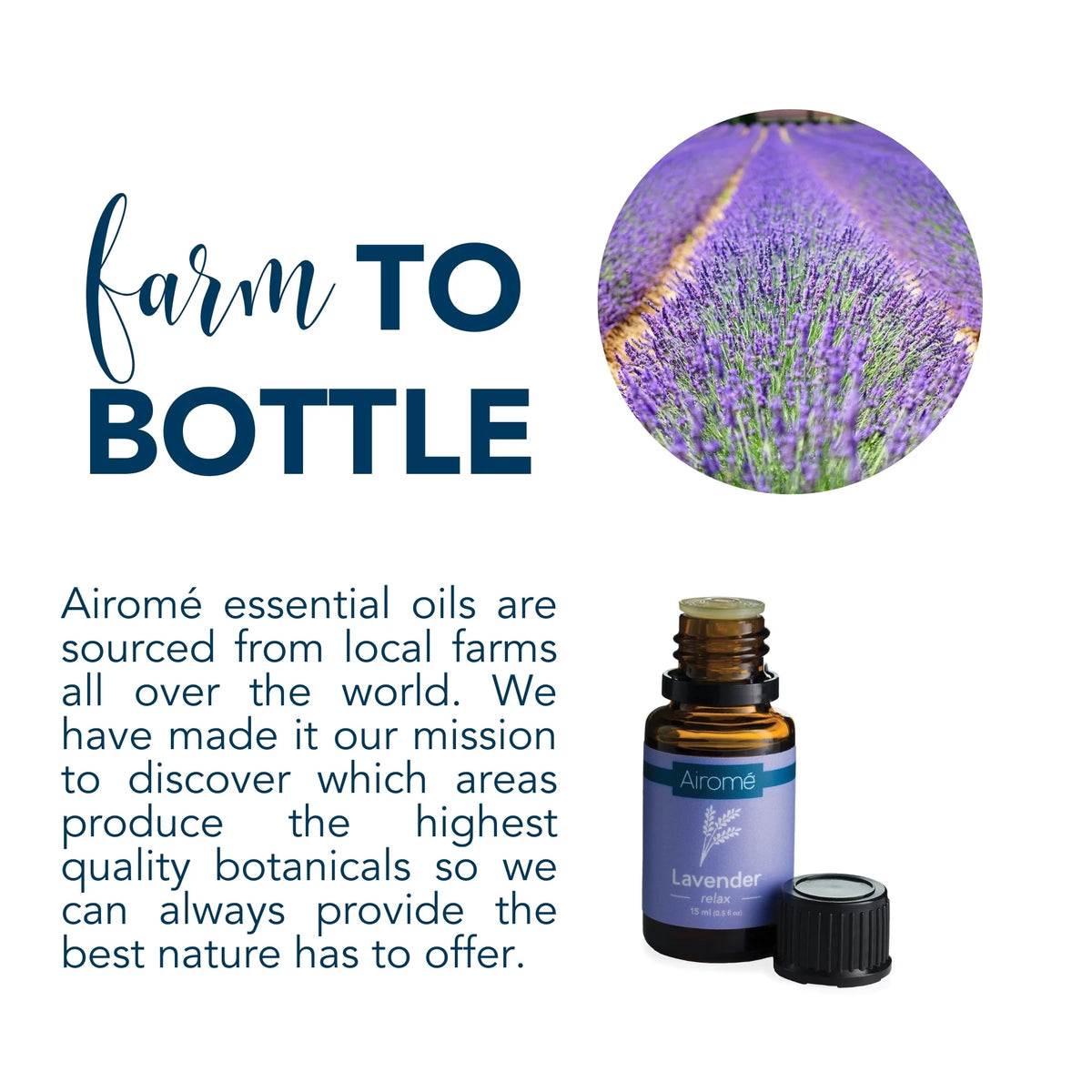 Organic Lavender Essential Oil 2 Pack O39908